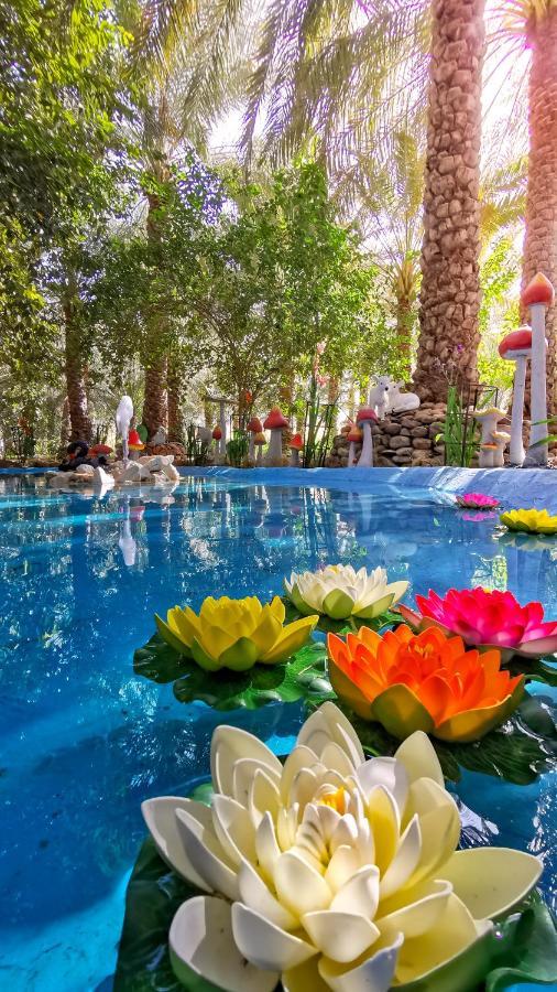 Alberi Lodge Hatta Ngoại thất bức ảnh